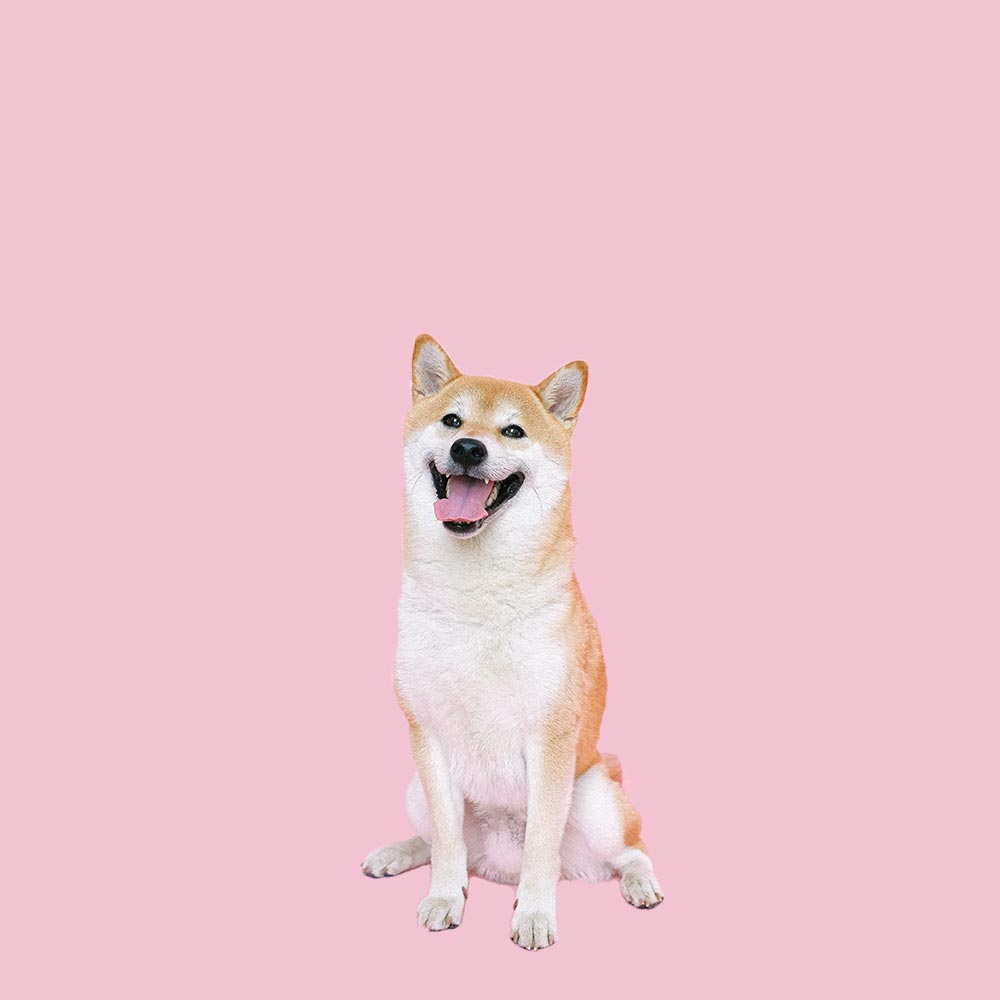 cutout4.jpg
